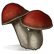 Mushrooms