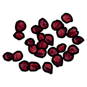 Red Seeds
